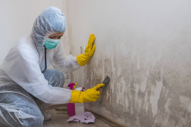 Best Emergency Mold Removal  in Goodman, MS