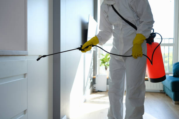 Best Emergency Mold Removal  in Goodman, MS