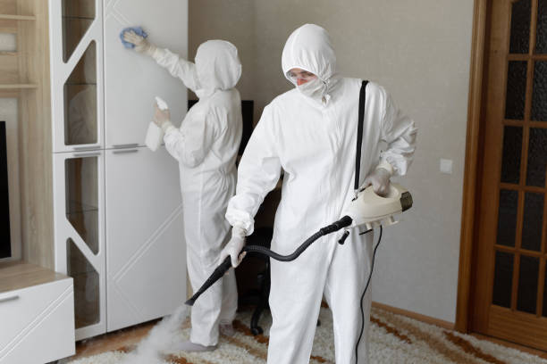 Best Fast Mold Removal  in Goodman, MS